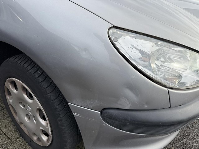 Peugeot 206 phase 2 1.1i enfant terrible, 2004 - afbeelding 13 van  26