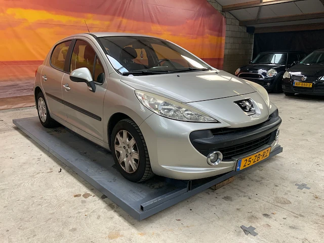 Peugeot 207 2007 - afbeelding 42 van  43