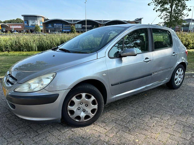 Peugeot 307 1.4 16v xs pack, 61-nx-fv - afbeelding 1 van  8