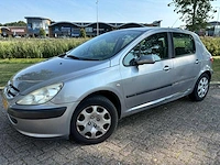 Peugeot 307 1.4 16v xs pack, 61-nx-fv - afbeelding 1 van  8
