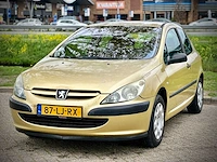 Peugeot 307 1.4 xr, 87-lj-rx - afbeelding 1 van  14