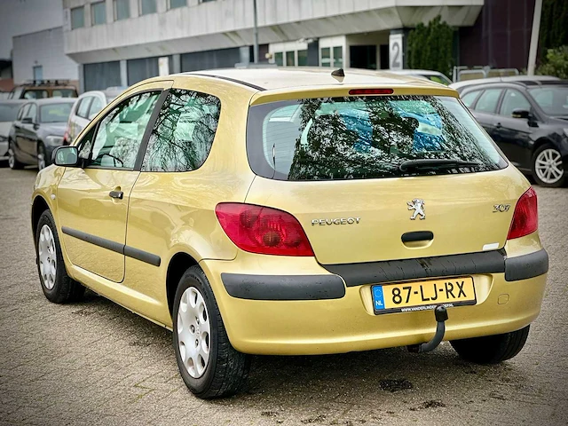Peugeot 307 1.4 xr, 87-lj-rx - afbeelding 9 van  14