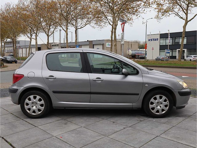 Peugeot 307 1.4 xs 2003, 09-lg-fk - afbeelding 6 van  28