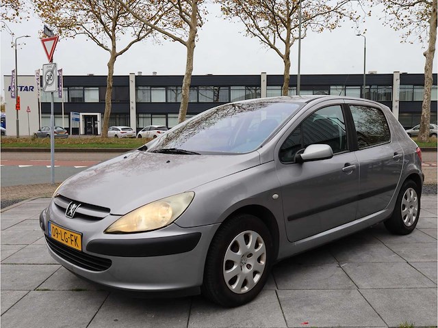 Peugeot 307 1.4 xs 2003, 09-lg-fk - afbeelding 9 van  28