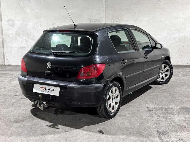 Peugeot 307 1.6-16v xs pack 109pk 2004, 12-pb-pb - afbeelding 3 van  36