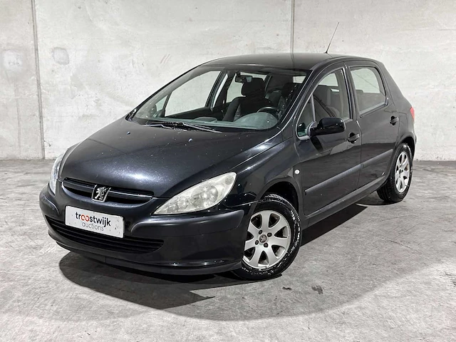 Peugeot 307 1.6-16v xs pack 109pk 2004, 12-pb-pb - afbeelding 31 van  36