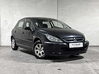 Peugeot 307 1.6-16v xs pack 109pk 2004, 12-pb-pb - afbeelding 34 van  36