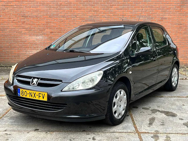 Peugeot 307 1.6-16v xs pack, 80-nx-fv - afbeelding 1 van  12