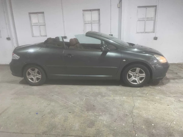 Peugeot 307 cc, 01-ns-xz - afbeelding 2 van  20