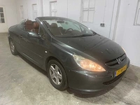 Peugeot 307 cc, 01-ns-xz - afbeelding 3 van  20