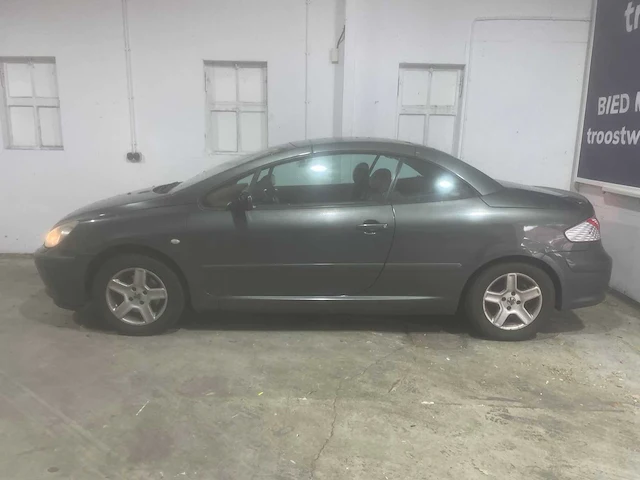 Peugeot 307 cc, 01-ns-xz - afbeelding 12 van  20