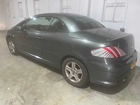 Peugeot 307 cc, 01-ns-xz - afbeelding 14 van  20