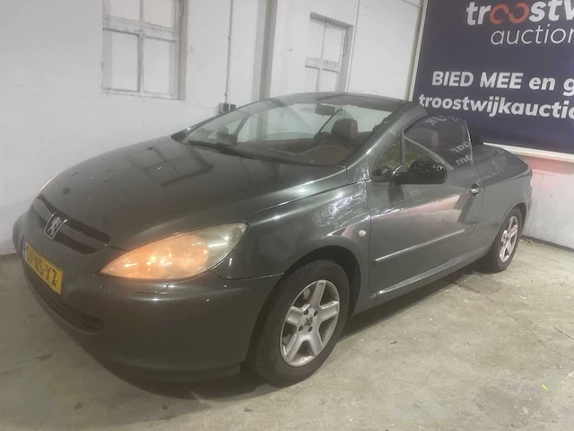 Peugeot 307 cc, 01-ns-xz - afbeelding 15 van  20