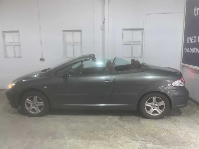 Peugeot 307 cc, 01-ns-xz - afbeelding 16 van  20