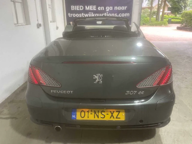 Peugeot 307 cc, 01-ns-xz - afbeelding 19 van  20