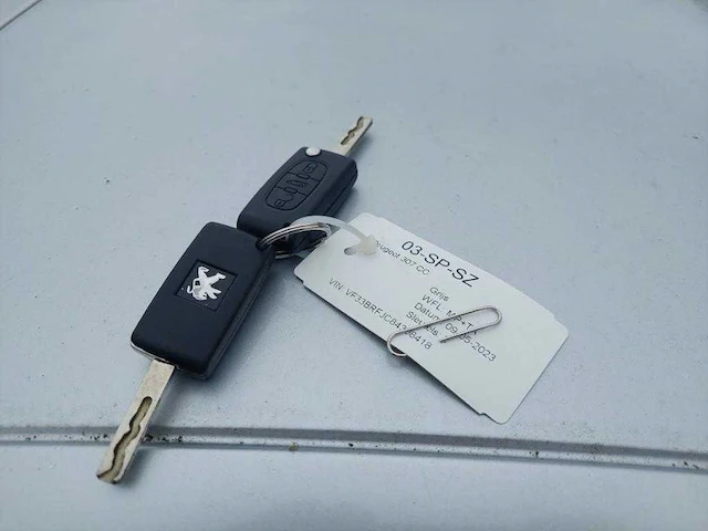 Peugeot 307 cc 2.0-16v, 03-sp-sz - afbeelding 2 van  11
