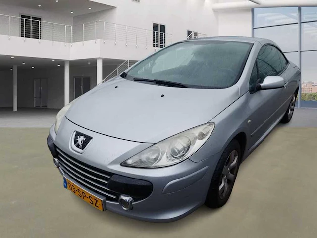 Peugeot 307 cc 2.0-16v, 03-sp-sz - afbeelding 1 van  11