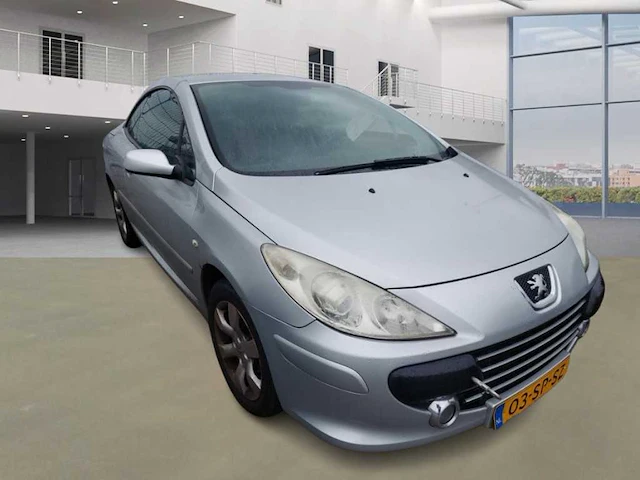 Peugeot 307 cc 2.0-16v, 03-sp-sz - afbeelding 4 van  11