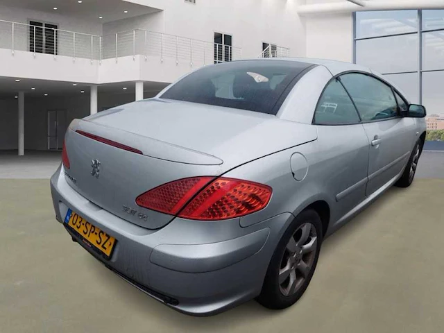 Peugeot 307 cc 2.0-16v, 03-sp-sz - afbeelding 6 van  11