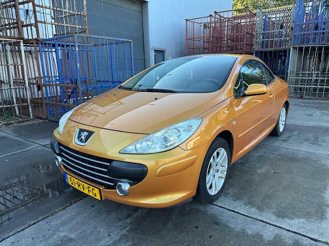 Peugeot 307 cc 2.0-16v 51-rv-fg - afbeelding 24 van  29