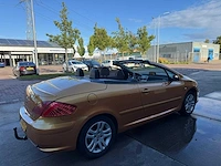 Peugeot 307 cc 2.0-16v 51-rv-fg - afbeelding 25 van  29