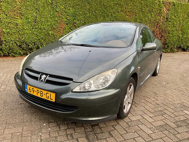 Peugeot 307 cc 69-pb-gl - afbeelding 30 van  37