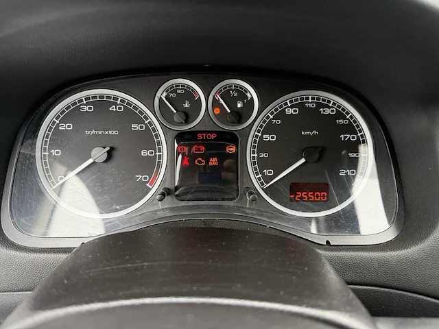 Peugeot 307,2004 - afbeelding 25 van  25