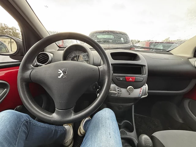 Peugeot,2009 - afbeelding 23 van  23