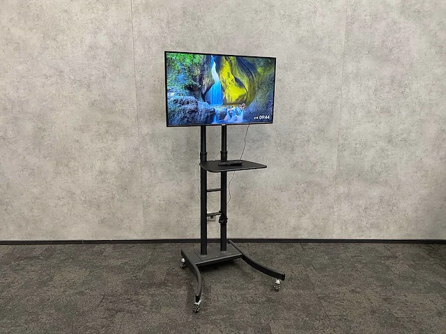 Philips - 43" monitor op verrijdbaar statief - afbeelding 1 van  15