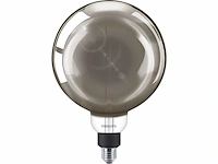 Philips led vintage xl-globe mit 25w, e2 - afbeelding 1 van  2