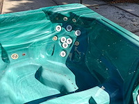 Phoenix spa 4 persoons amerikaans jacuzzi en buitenspa - afbeelding 2 van  24