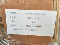 Phomi - floor / wall / facade tile marble mount lion white - afbeelding 2 van  7