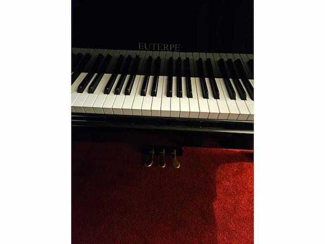 Piano vleugel - afbeelding 2 van  12