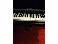 Piano vleugel - afbeelding 2 van  12