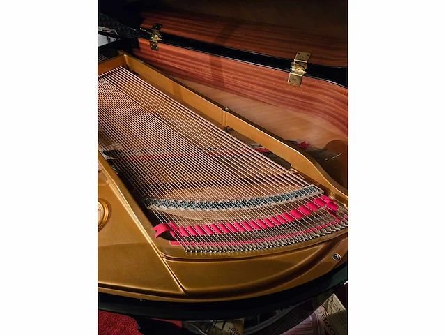Piano vleugel - afbeelding 3 van  12