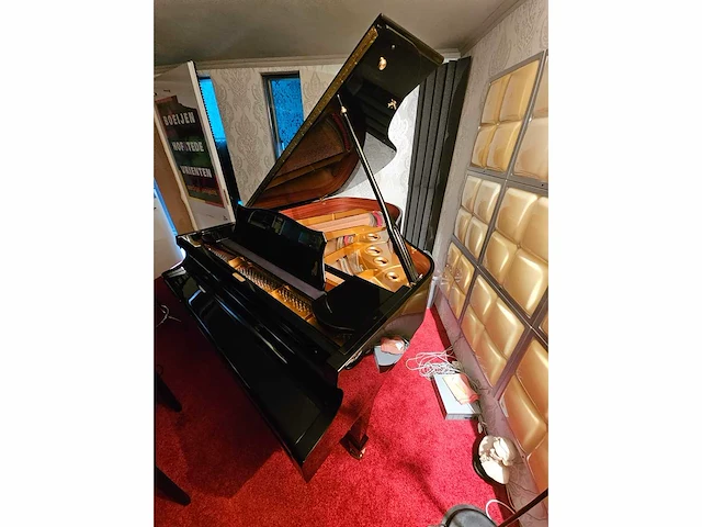 Piano vleugel - afbeelding 5 van  12