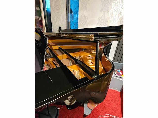 Piano vleugel - afbeelding 7 van  12