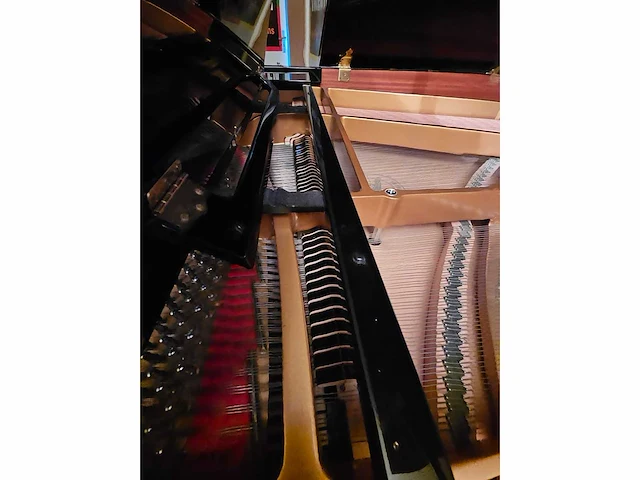Piano vleugel - afbeelding 9 van  12
