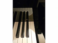 Piano vleugel - afbeelding 11 van  12
