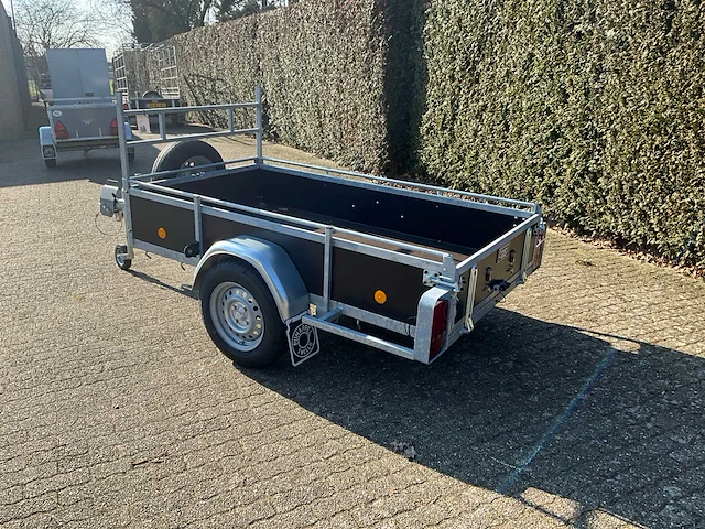 Pijnappel f aanhangwagen - afbeelding 10 van  12