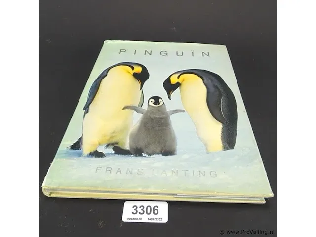 Pinguïn - afbeelding 1 van  5