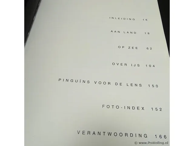 Pinguïn - afbeelding 3 van  5