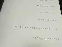 Pinguïn - afbeelding 3 van  5
