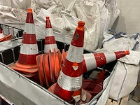 Pionnen - afbeelding 4 van  7