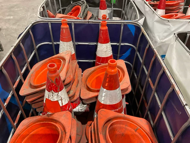 Pionnen - afbeelding 5 van  7