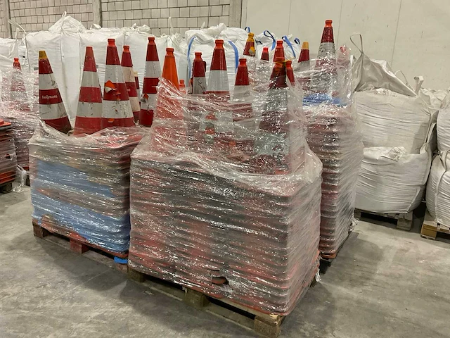 Pionnen - afbeelding 1 van  6