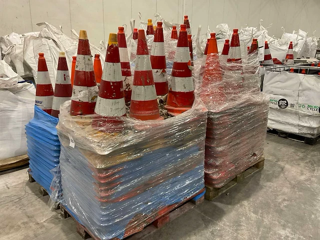 Pionnen - afbeelding 2 van  6