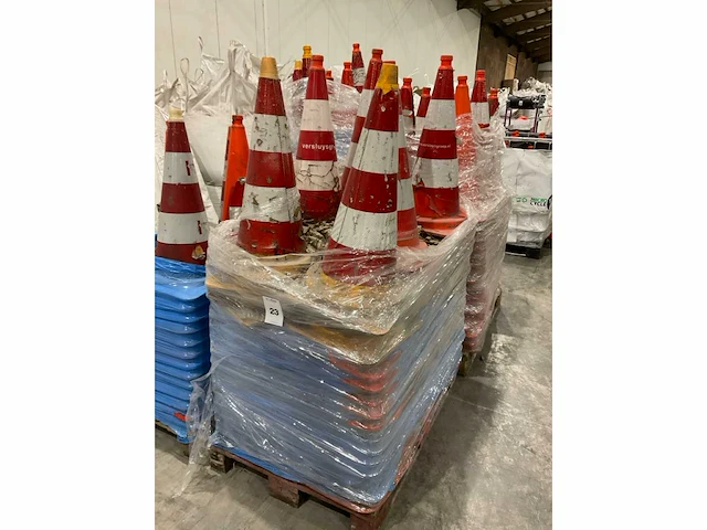 Pionnen - afbeelding 5 van  6