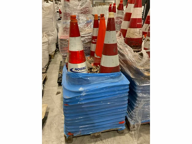 Pionnen - afbeelding 6 van  6