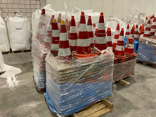 Pionnen - afbeelding 1 van  7